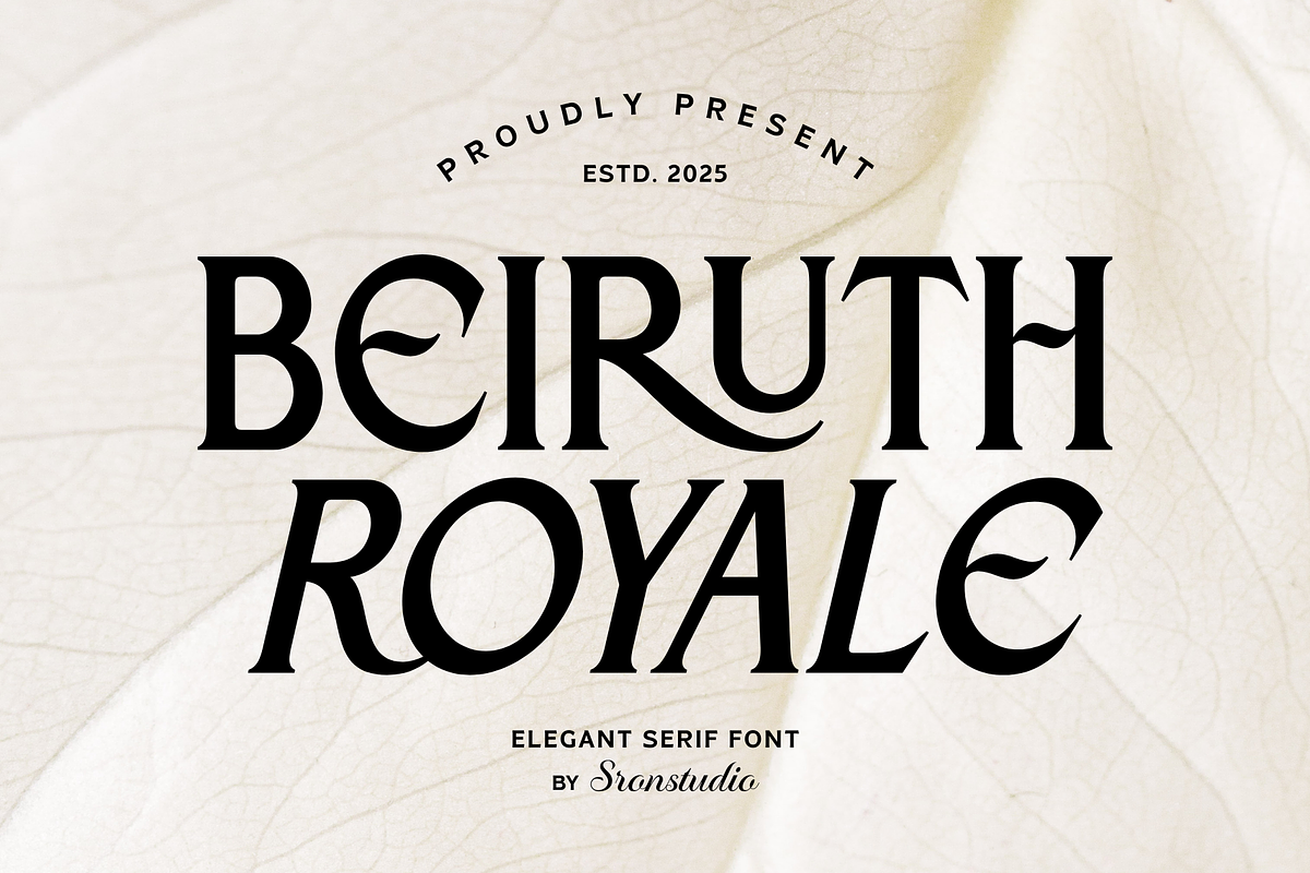 Beiruth - Serif Font, a Serif Font by Sronstudio (Photo 1 of 16)