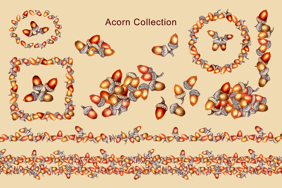 Oak&Acorn Harvest watercolor clipart, a Decorative Illustration by EL_SUHOVA (Photo 10 of 14)
