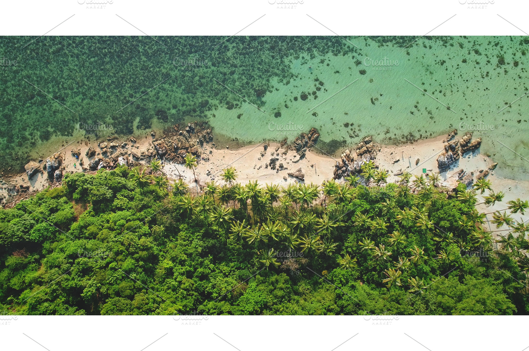 Tropical beach meeting lush, a Nature Photo by Goinyk