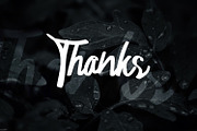 Astania Script, a Script Font by edukka (Thumbnail 10 of 10)