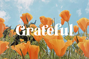 Tropical Garden font, a Serif Font by Davide Bassu (Thumbnail 10 of 15)