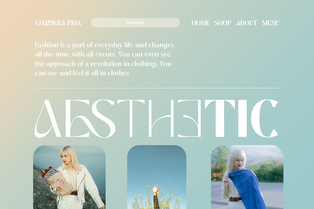 Chaviera Pro Family, a Sans Serif Font by INKSUN™ (Photo 4 of 12)