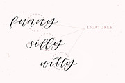 Columbidae Elegant Calligraphy Font, a Script Font by The Pigeon Letters (Thumbnail 3 of 11)