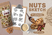 Nuts sketch, a Food Illustration by Steshnikova (Thumbnail 1 of 5)