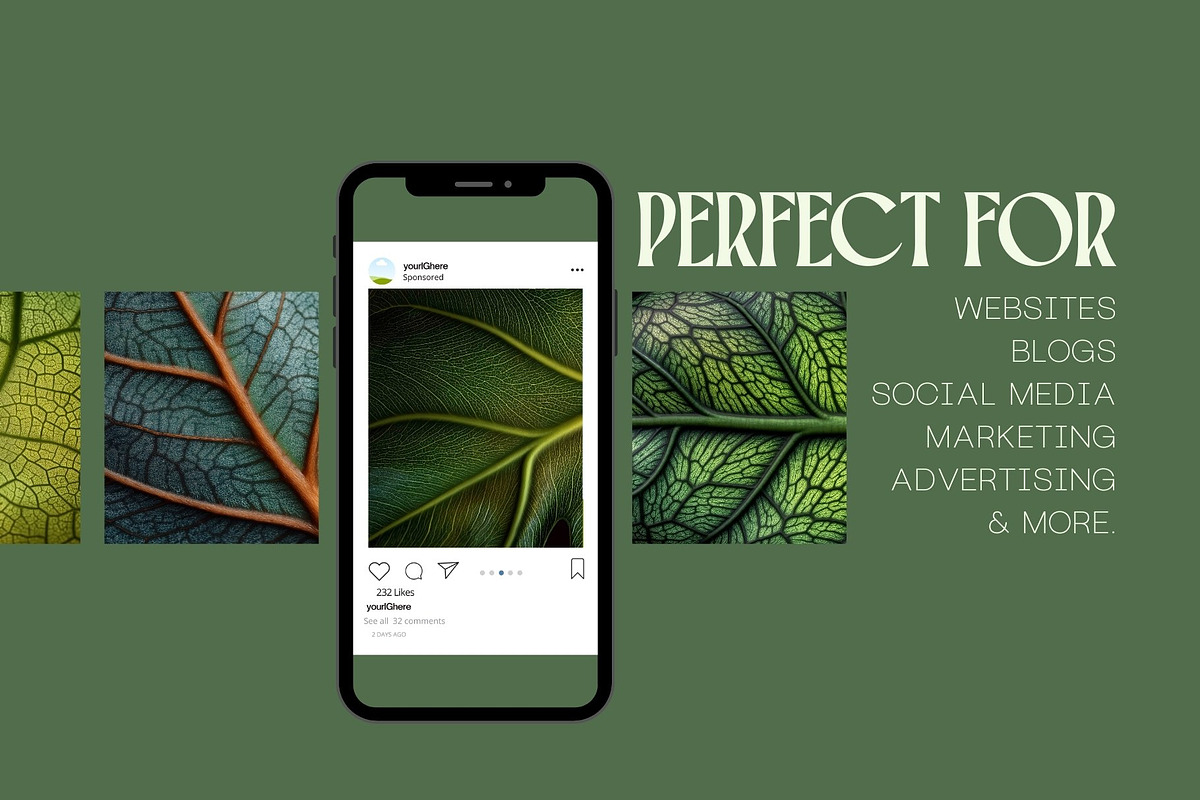 75 Leaf Veins Stock Photos, a Nature Photo by Incomelion (Photo 12 of 14)