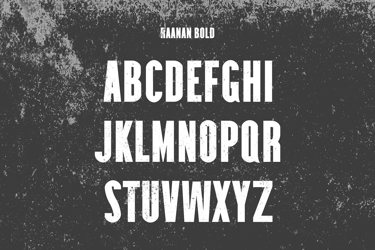 Raanan Classic Sans Serif Family preview 3