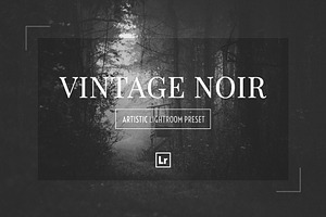 VINTAGE NOIR Lightroom Preset