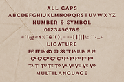 Clephons -Vintage Serif Display Font, a Serif Font by zamjumps (Thumbnail 9 of 10)
