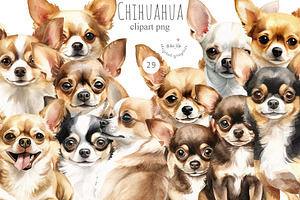 Chihuahua, an Animal Illustration by TheCuteShop