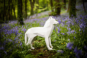 3D Wolf/Dog Papercraft, a Templates & Theme by PaperPetShop (Thumbnail 1 of 4)