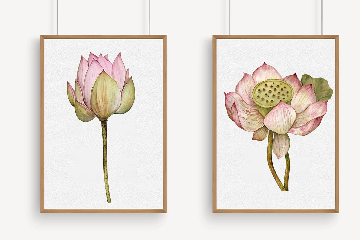 Watercolor Lotus Clipart, an Illustration by Libby Wishes (Photo 3 of 7)