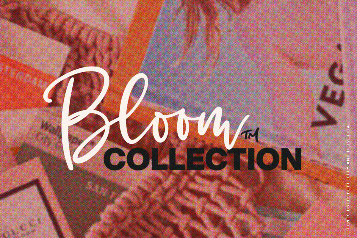 BetterFly - for Canva & Templett, a Script Font by Blessed Print (Photo 7 of 46)