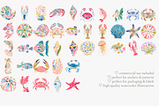 Tropical reef clipart set, a Decorative Illustration by Patishop Art (Thumbnail 10 of 10)