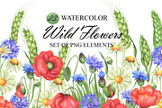 Watercolor Wildflowers clipart, an Illustration by OlDm_Shop (Thumbnail 1 of 7)