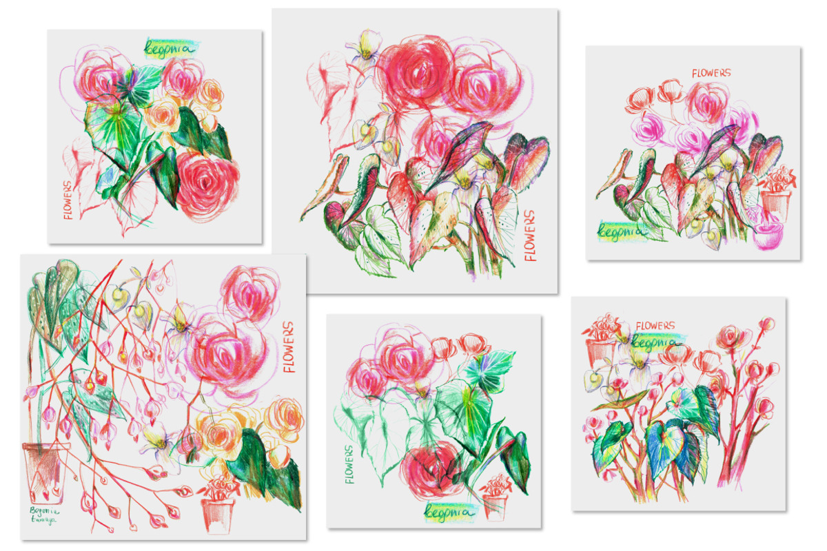 Begonia floral background, a Decorative Illustration by katya.bogina (Photo 4 of 5)