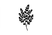 Eucalyptus Leaf Branch Collection, an Object Graphic by Designer_Momina (Thumbnail 3 of 3)