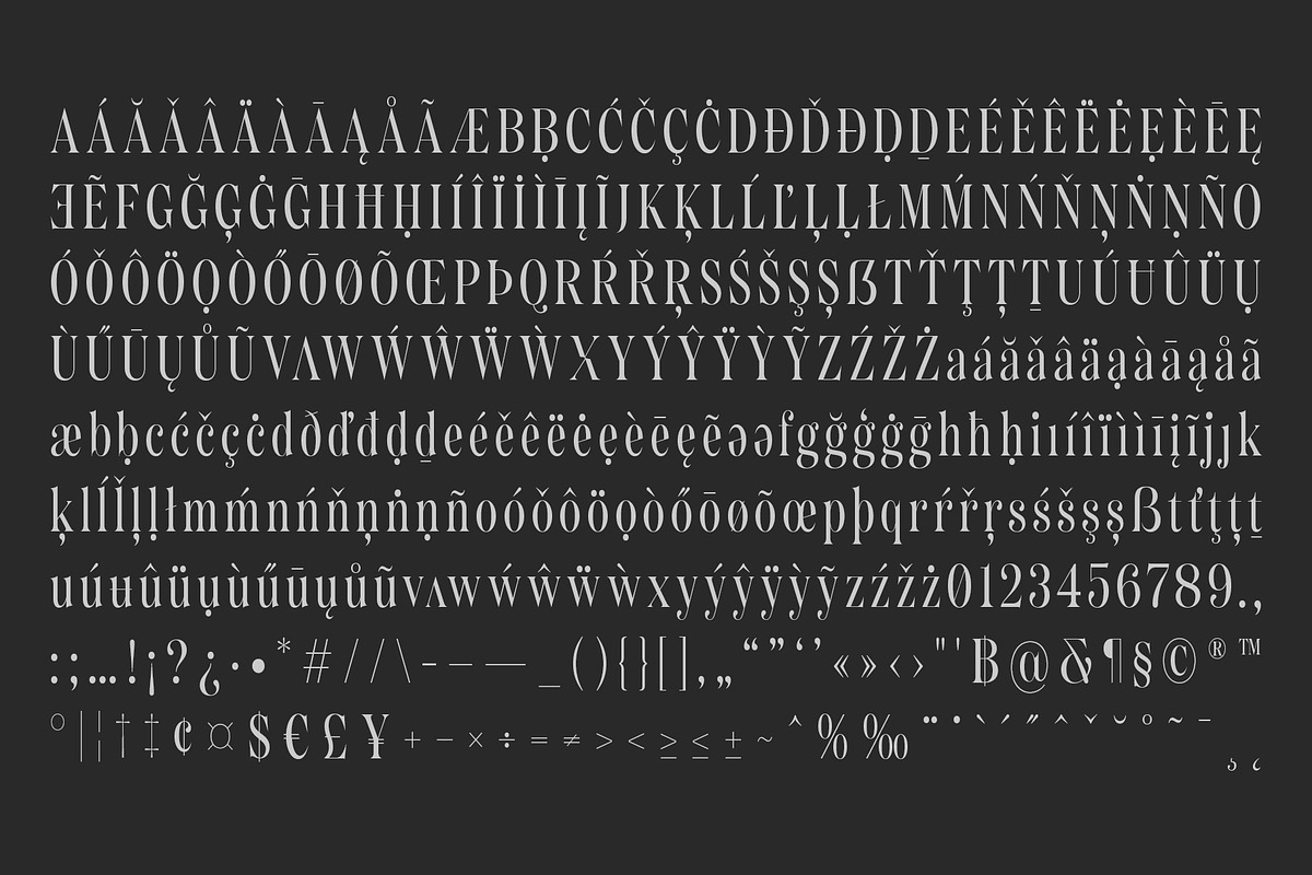 Bolognia - Classic Serif, a Serif Font by Craft Supply Co. (Photo 6 of 8)