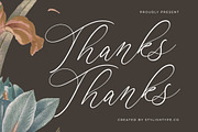 Anchesty Montaine Stylish Font, a Script Font by stylishtype.co (Thumbnail 20 of 20)