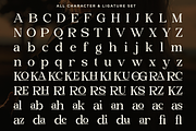 Briska - Modern Ligature Serif, a Serif Font by RagamKata (Thumbnail 9 of 10)