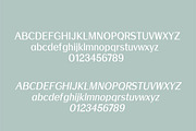 Meadow-Sans Serif font family, a Sans Serif Font by TinyWanderersArt (Thumbnail 4 of 4)
