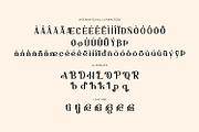 Quirentis - Serif Typeface Font, a Serif Font by Rishsketch (Thumbnail 14 of 15)