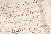 Mood Board script font, a Serif Font by Anna Zakharchenko (Thumbnail 23 of 23)