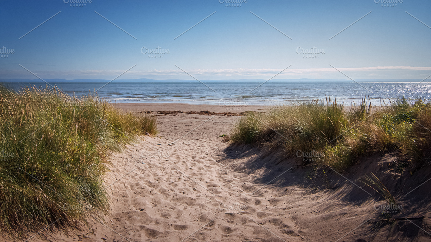 Sandy path winding through marram grass dunes leading to a calm, a Photo by Studio ANNA