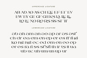 Romla - Elegant and Classy, a Serif Font by HansCo Studio (Thumbnail 11 of 13)