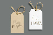 Thanksgiving Calligraphy Overlays, a Decorative Illustration by Irina Vascovet (Thumbnail 4 of 7)