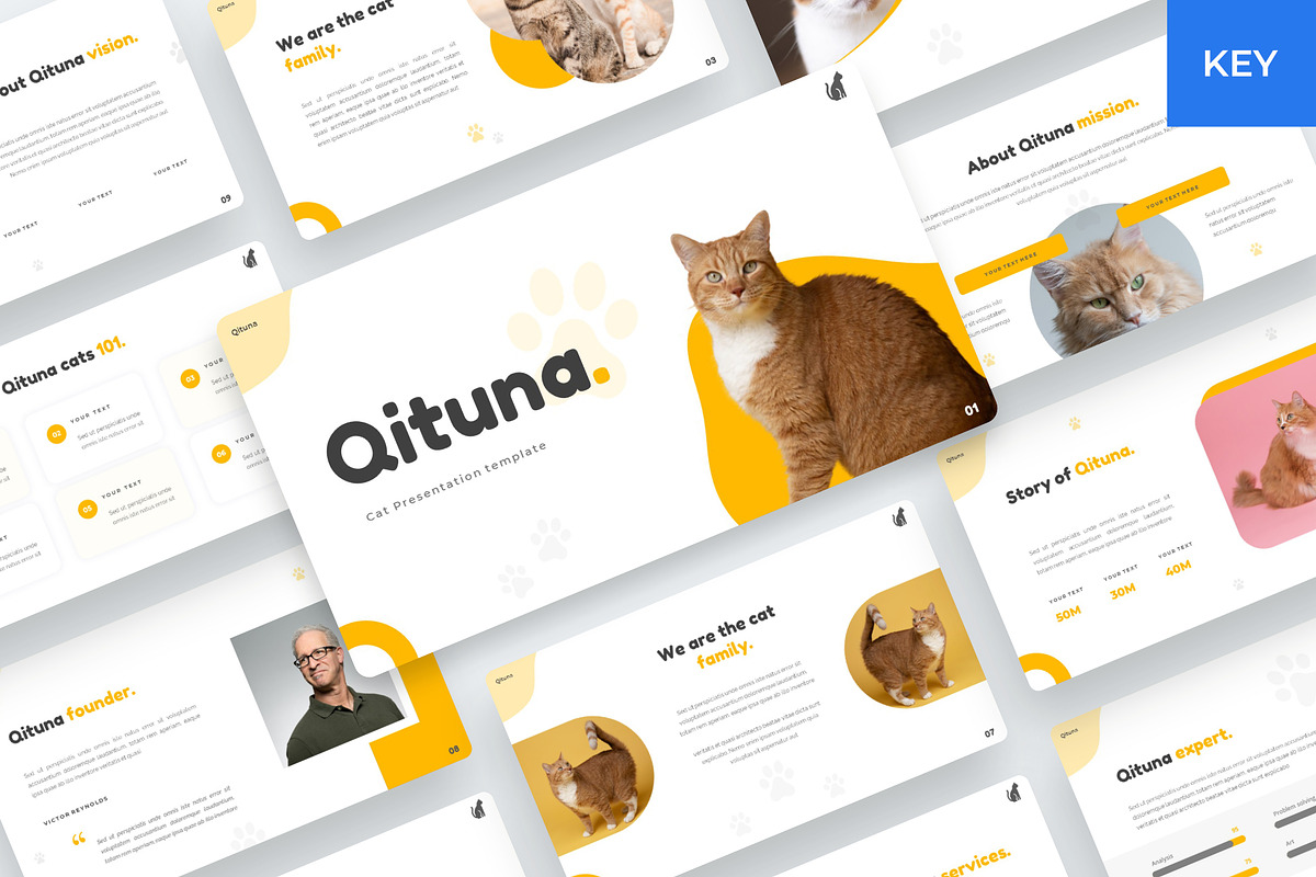 Qituna - Cat Animal Keynote Template, a Presentation Template by BeadyLab (Photo 1 of 6)