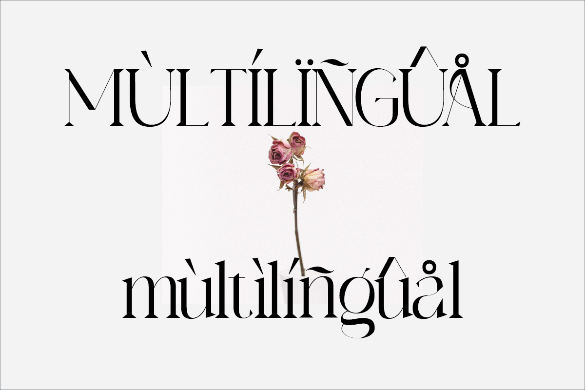 Archare, a Serif Font by Muksal Creative (Photo 5 of 8)