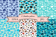 Seashells set, an Object Graphic by cat_arch_angel (Thumbnail 4 of 5)