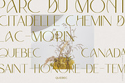 Modern Trend Font Bundle, a Serif Font by Laras Wonderland (Thumbnail 13 of 25)