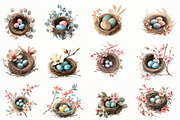 Watercolor Boho Bird Nests Clipart, an Illustration by Designworld (Thumbnail 2 of 5)