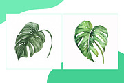 Watercolor Leaves 10 Set Vol 12, a Nature Photo by shahsoft (Thumbnail 2 of 2)