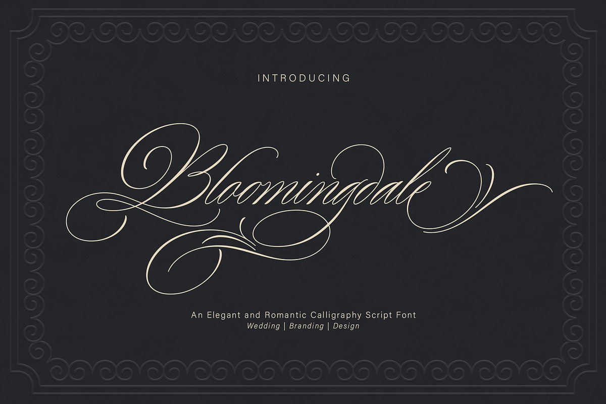 Bloomingdale, a Script Font by JamalCreativeStudio (Photo 1 of 13)