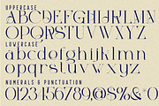 Changing Realities - Modern Serif, a Serif Font by 177Studio (Thumbnail 7 of 8)