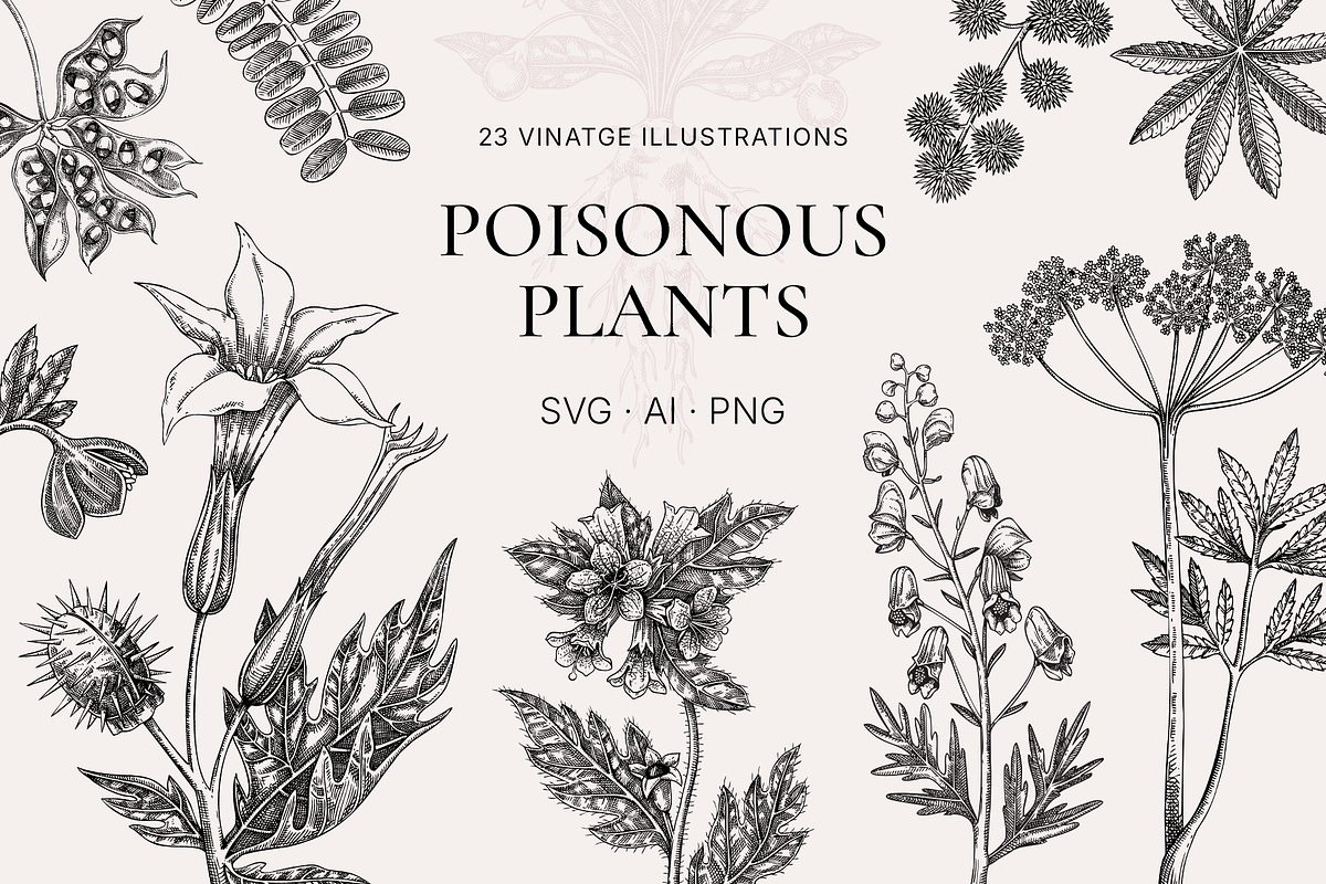 Poisonous Plant Vector Illustrations, an Object Graphic by Yevheniia (Photo 1 of 11)