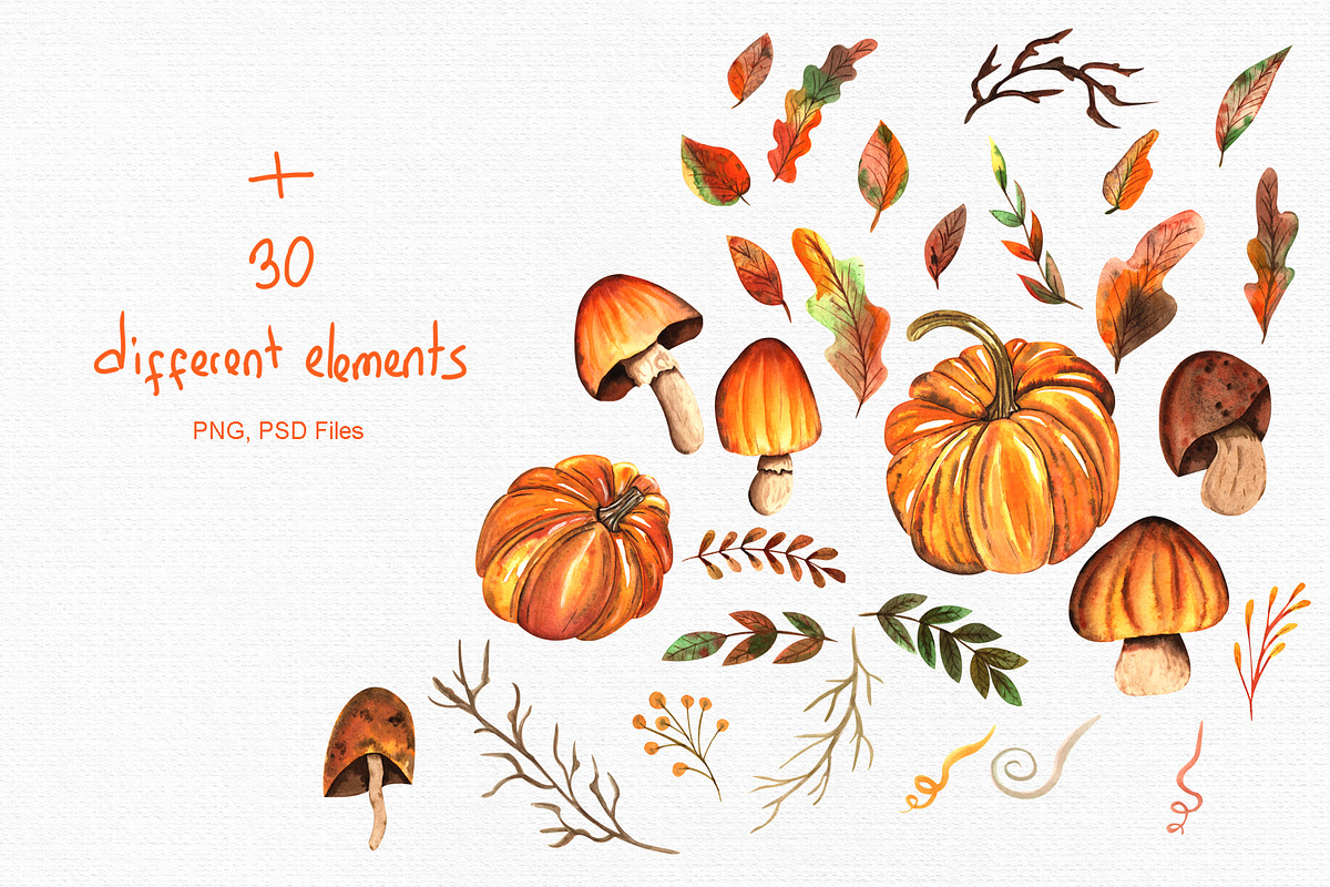 Watercolor Autumn Collection, an Illustration by TanataDesign (Photo 3 of 7)