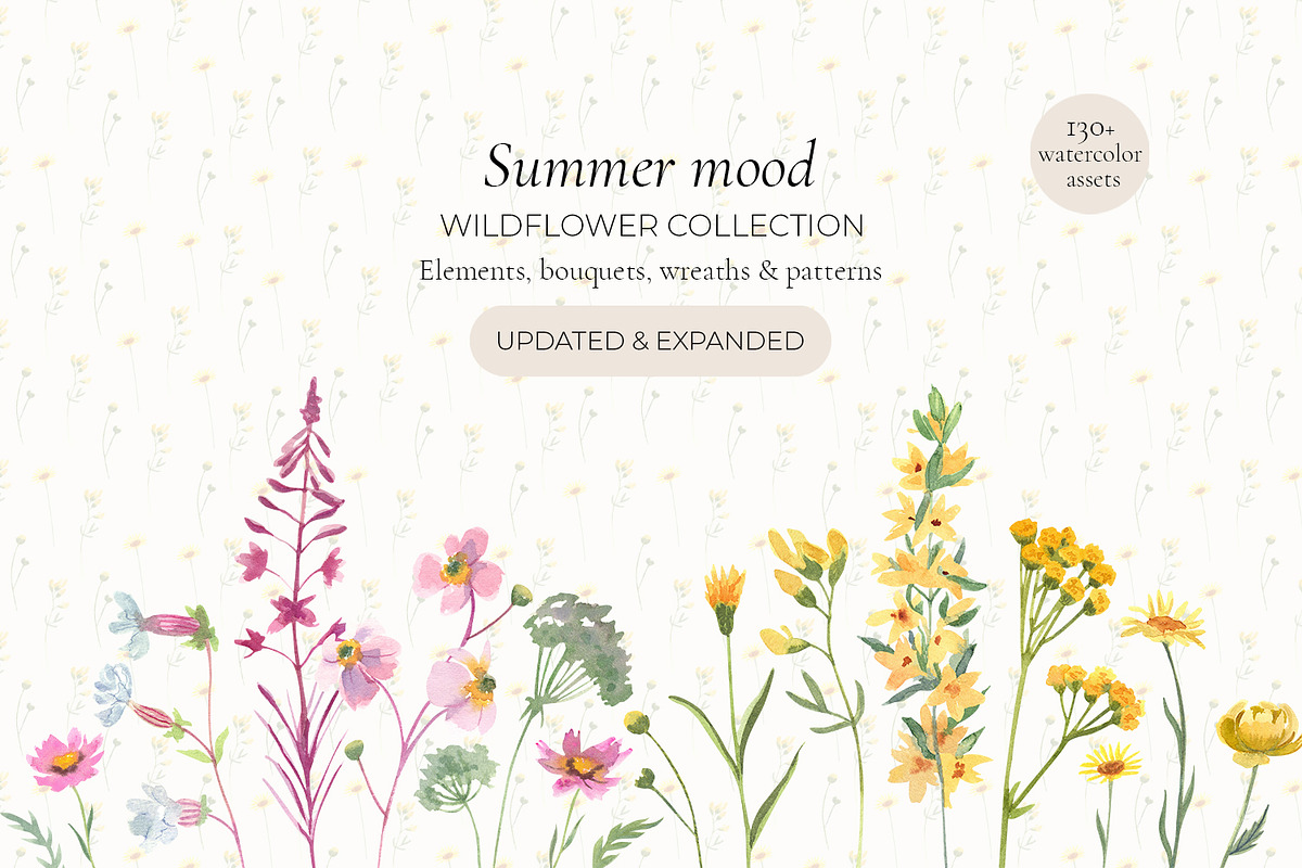 Wildflower Watercolor Collection, a Decorative Illustration by Anna Druzhkova (Photo 1 of 23)