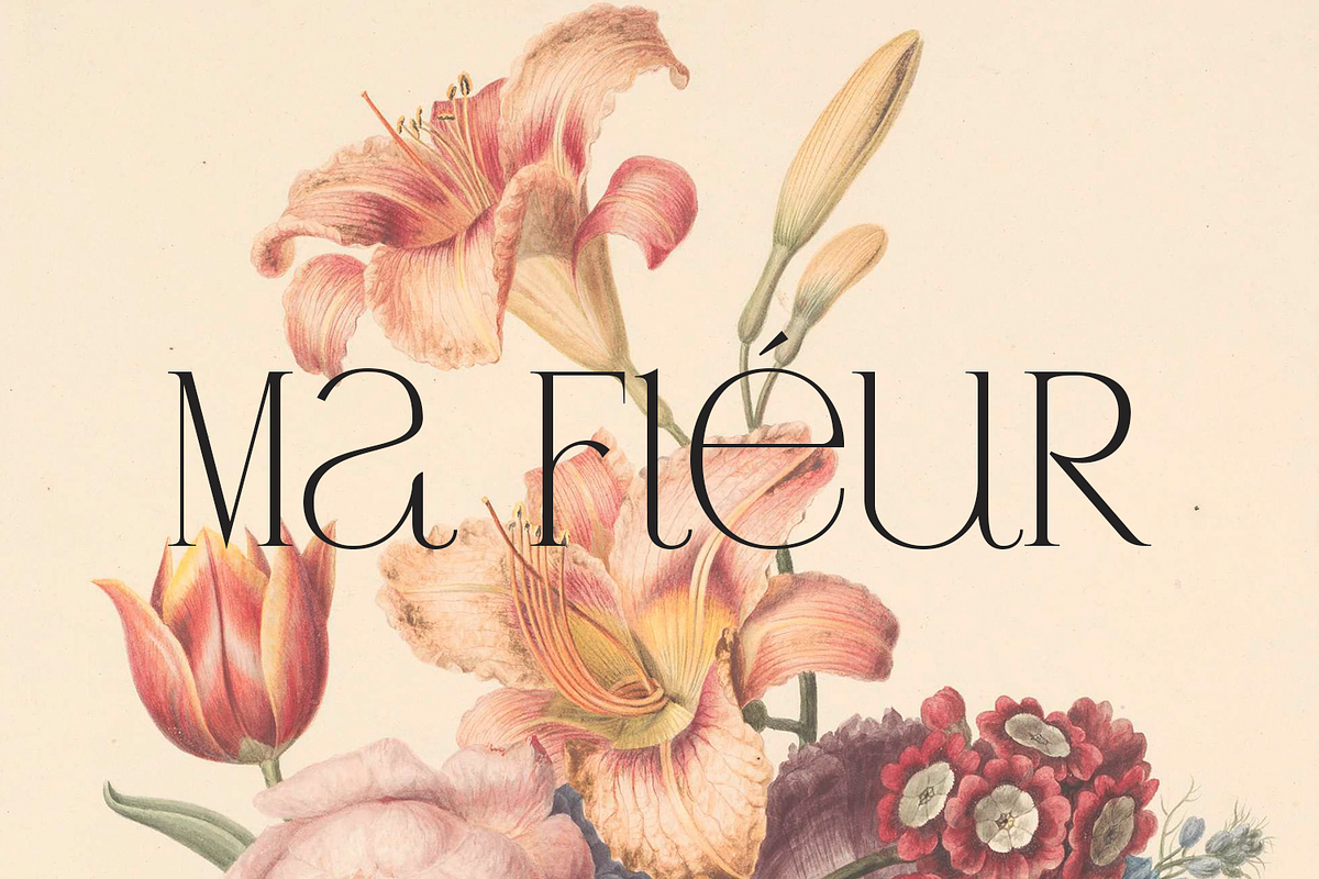 Rotterburg Stylish Display Font, a Serif Font by Typetemp Studio (Photo 16 of 20)