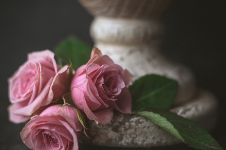 Three roses containing three, roses, and flowers