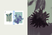 Printed Botanical Graphics, an Object Graphic by Neatly Made Studio (Thumbnail 4 of 17)