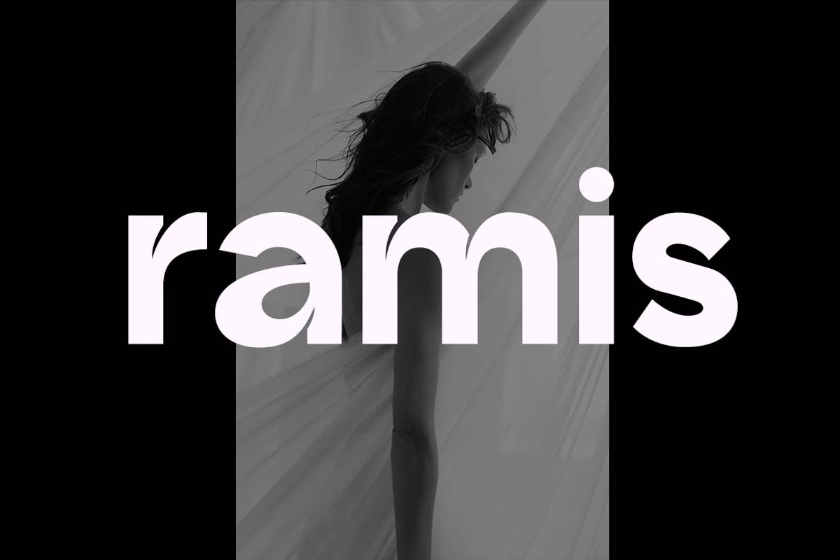 Stanzegic Modern Grotesk Font, a Sans Serif Font by UICreative (Photo 10 of 13)
