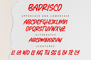 Badrisco - A Display Font, a Sans Serif Font by overlaytemplates (Thumbnail 4 of 5)