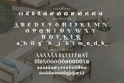 California Paradise Modern Serif, a Serif Font by Storytype Studio (Thumbnail 14 of 15)