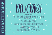 BlueBird Quirky LS, a Script Font by GranzCreative (Thumbnail 9 of 11)
