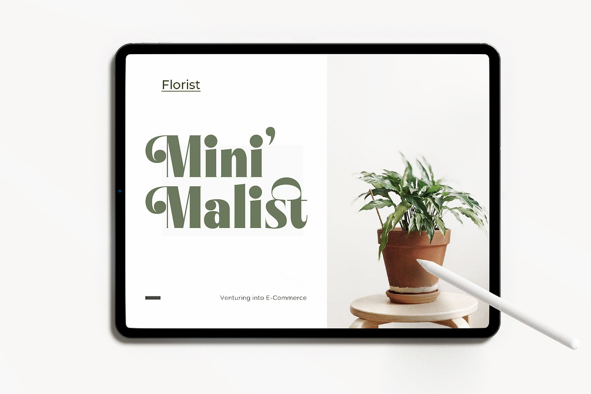 Bistika Modern Display Serif, a Serif Font by timelesstype.co (Photo 13 of 20)