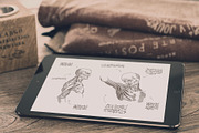LEONARDO DA VINCI ANATOMY SKETCHES, an Illustration by Luna Dreams (Thumbnail 6 of 6)