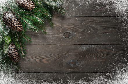 Christmas decorations fir tree branch stock photo containing above and, a Holiday Photo by Nadia-nb